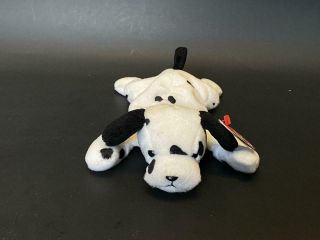 Ty Beanie Baby Dotty The Dalmation.  Rare With Tag Errors.  1996.  Collectable