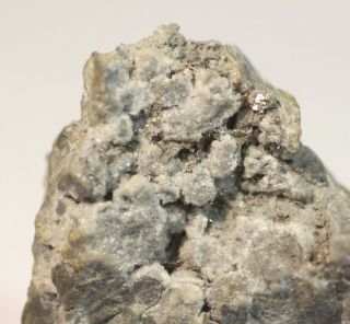Sylvanite Crystals: Cresson Mine,  Cripple Creek,  Colorado - Rare