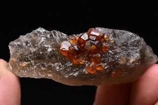 16g Natural Fanta Spessartine Garnets Smoky Crystal Rare Mineral Specimen