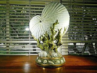 Royal Worcester Nautilus Shell Planter Rare Tall 9 Inch Pedestal Vase