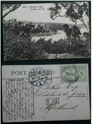 Rare 1913 Australia Pair 1/2d Green Kangaroo Stamps On Postcard To Holland Taxed