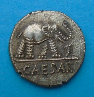 Julius Caesar Ar Denarius,  Rome,  Silver Ancient Roman Very Rare War Elephant