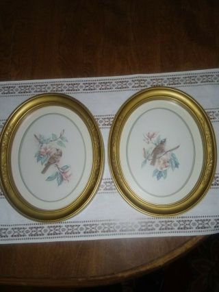 Vintage Home Interiors (2) Bird & Flower Pictures In Gold Oval Frames 11  X 9 "