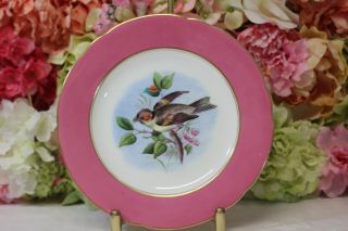 Hand Painted,  English Porcelain Dessert Plate With Birds