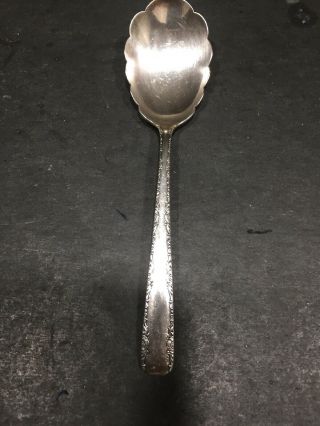 Gorham Camellia Pattern Sterling Silver Sugar Spoon 6 " 1941