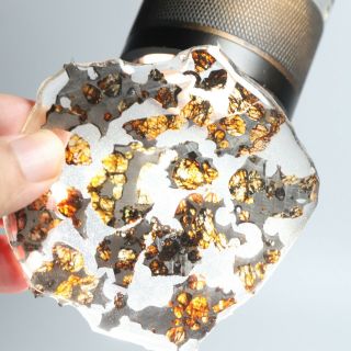 43g Rare Slices Of Kenyan Pallasite Olive Meteorite Q53