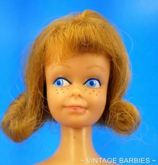 Very Rare Blond Midge Barbie Doll 860 W/ Teeth Side Glancing - Vintage 1960 