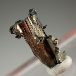 Dyscrasite Fine Crystal Rare Pribram,  Czech Republic