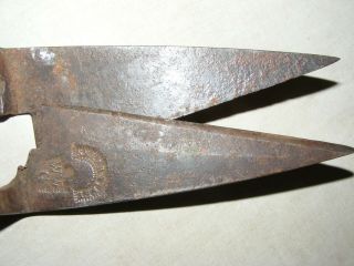 Sheep Shears Garden Cutters Scissors Steel Metal Vintage Antique Hand Tool Farm 2