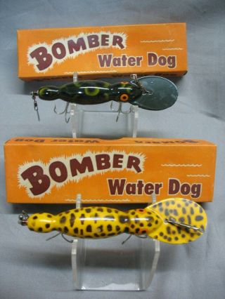 2 Vintage Wood Bomber Waterdog Lures In Two Piece Box Frog 611 & - Coach Dog 659