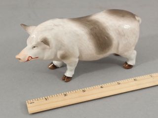 Rare Antique 19thc Ernst Bohne & Sohnes German Porcelain Pig Boar Figurine