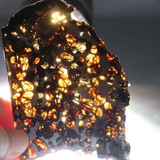 50g Slice Meteorites,  Rare Slices Of Kenyan Pallasite Olive Meteorite N2174