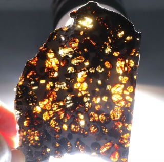 50g Slice meteorites,  Rare slices of Kenyan Pallasite olive meteorite N2174 2