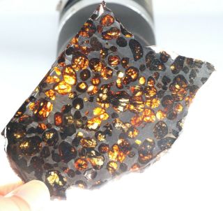 50g Slice meteorites,  Rare slices of Kenyan Pallasite olive meteorite N2174 3