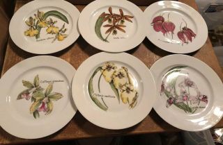 Rare Limoges Porcelain 6 Plate Set Botanical Orchids Flower Bernardaud & Co.