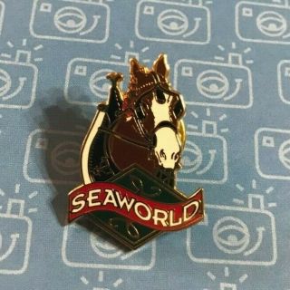Vintage Very Rare Sea World Horse Collectible Pin L@@k (small)