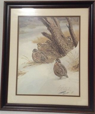 1978 Guy Coheleach Signed Print Game Birds