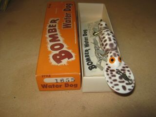 Vintage Bomber Fishing Lure With Papers Model 1655 Coachdog
