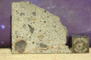 Nwa 8362 Hed Howardite Meteorite 5.  6 Part Slice Of Rare Achondrite With Metal