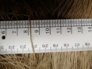 Antique 19thC homespun raw Flax Yarn Treads 1400meters/820g 2