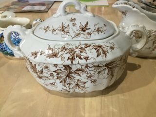 Jhw & Sons Hanley England Rare Holly Pattern Semiporcelain Tureen