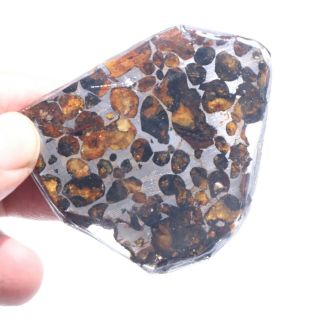 43g Rare Slices Of Kenyan Pallasite Olive Meteorite A7082