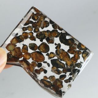 40g Rare Slices Of Kenyan Pallasite Meteorite Olive R2504
