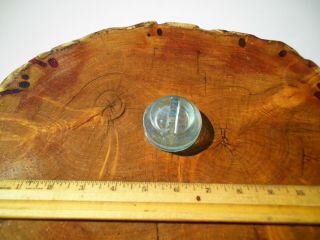 Seven Very Rare Scarce 1800s Glass Stopper Closure Lids For Various Fruit Jars