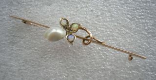 Antique Victorian 9ct Gold Brooch With Opal & Mabe Pearl Flower