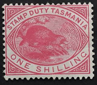 Rare 1880 - Tasmania Australia 1/ - Rose Pink Platypus Stamp Duty P14