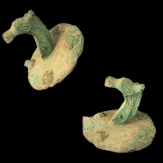 Rare Ancient Roman Bronze Period Horse Head Statue - 200 - 400 Ad (9)