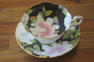 Paragon Gardenia Magnolia Black Pink White Tea Cup Teacup Saucer Rare