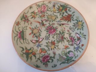 Antique 19th Century Chinese Hand Painted Celadon Porcelain Plate