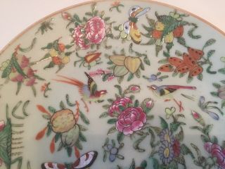ANTIQUE 19th CENTURY CHINESE HAND PAINTED CELADON PORCELAIN PLATE 2