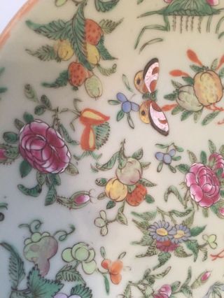 ANTIQUE 19th CENTURY CHINESE HAND PAINTED CELADON PORCELAIN PLATE 3