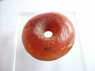 1 Ancient Neolithic Carnelian Disc Bead,  Stone Age,  Rare Top