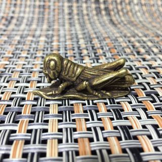 Rare Chinese Old Brass Handwork Grasshopper Eat Grass Antique Little Statue S607