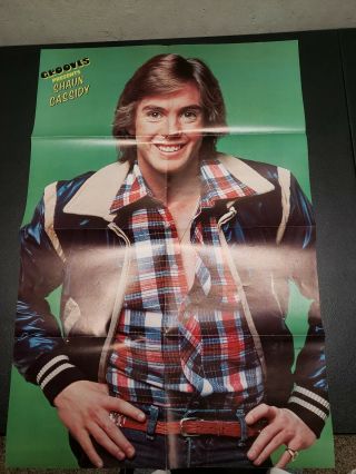 Rare Grooves Present Shaun Cassidy/ Andy Gibbs Poster 30x20