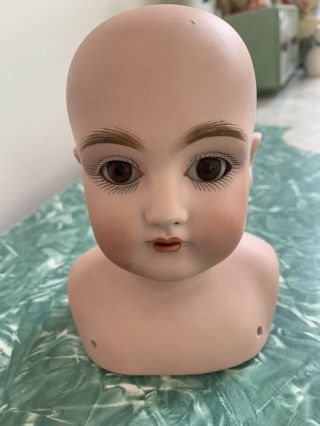 Antique German Bisque Doll Head With Glass Sleepy Eyes