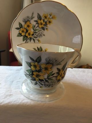 Vintage Tea Cup And Saucer Queens Rosina (rare) 1950s