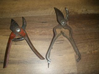 Antique/vtg Tools Garden Pruning Shears Snips Cutters Hand Pruner Dunlap Rare