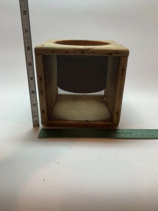 Vintage Wood And Screen Cricket Keeper Cage Primitive Live Fishing Bait Holder