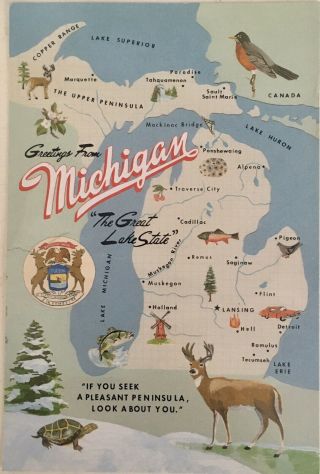 Sufjan Stevens,  Greetings From Michigan - Postcard.  Rare Promo Album Post Card