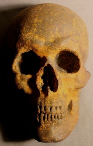 Aged Human Skull Death Sculpture Medical Postmortem Plague Masonic Curiosity