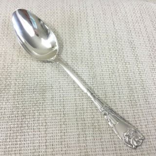Rare Christofle Peau de Lion Cutlery Silver Plate Table Spoon Charles Rossigneux 2