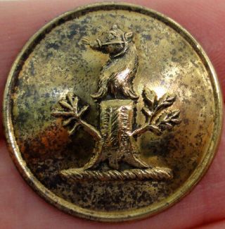 Brass Antique Livery Button Crest Of Muzzled Bear Head On Regrowing Tree Stump