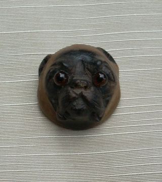 Antique 19th Century Hand Carved Wood Pug Dog With Glass Eyes