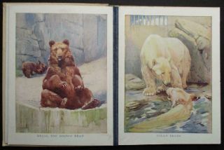 RARE 1934 ANIMAL BOOK OF COLOURED PICTURES 16 COLOUR PLATES Austen Swan Sargent 3