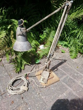 Rare Herbert Terry Anglepoise Lamp With Labels / Tags Model Minor
