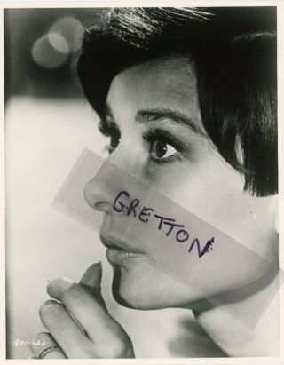 Gorgeous Audrey Hepburn Rare Portrait Photo